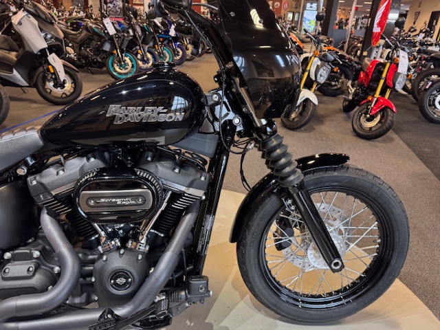 2020 Harley-Davidson Softail Street Bob at Martin Moto