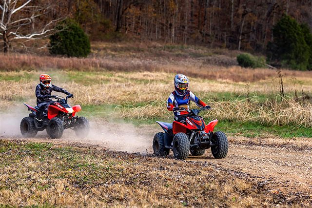 2024 Honda TRX 90X at Southern Illinois Motorsports