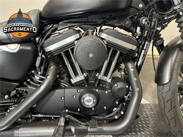 2021 Harley-Davidson XL883N at Harley-Davidson of Sacramento