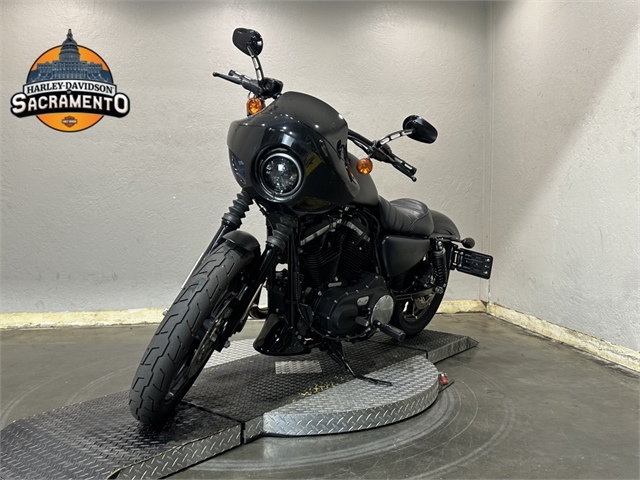 2021 Harley-Davidson XL883N at Harley-Davidson of Sacramento