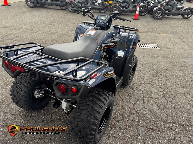 2025 Kawasaki Brute Force 300 at Paulson's Motorsports