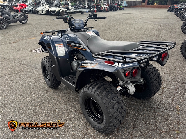 2025 Kawasaki Brute Force 300 at Paulson's Motorsports