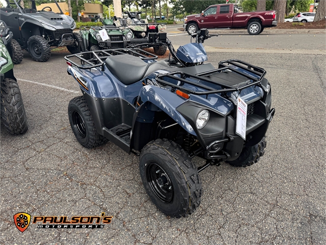 2025 Kawasaki Brute Force 300 at Paulson's Motorsports