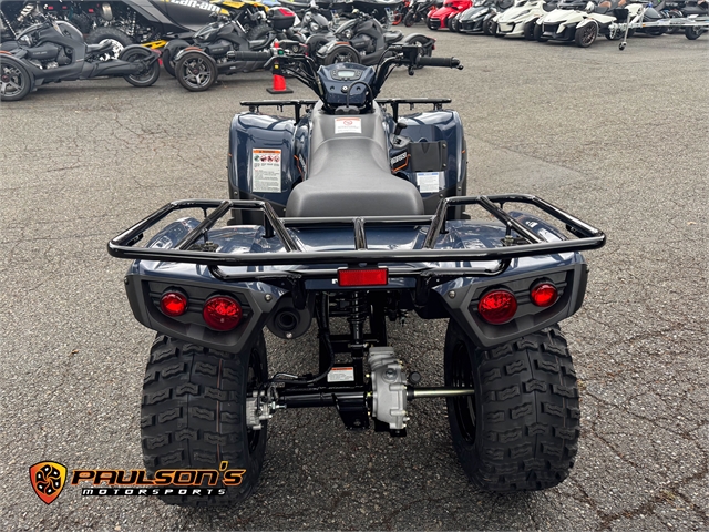 2025 Kawasaki Brute Force 300 at Paulson's Motorsports