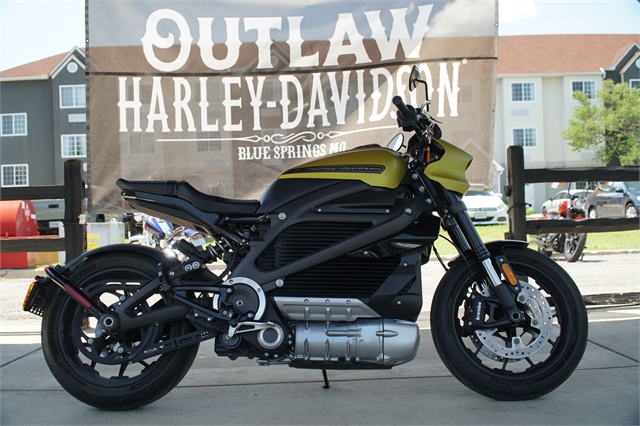 2020 Harley-Davidson Electric LiveWire at Outlaw Harley-Davidson