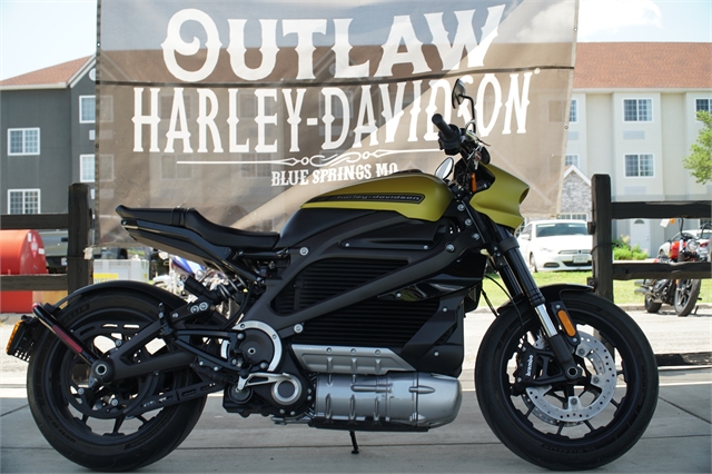 2020 Harley-Davidson Electric LiveWire at Outlaw Harley-Davidson