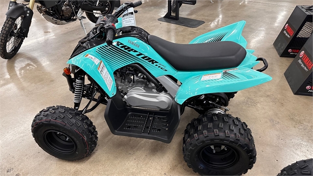 2025 Yamaha Raptor 110 at ATVs and More