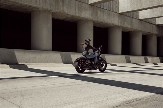 2020 Harley-Davidson Sportster Iron 1200 at Javelina Harley-Davidson