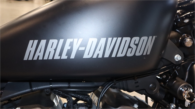 2016 Harley-Davidson Sportster Roadster at Motoprimo Motorsports