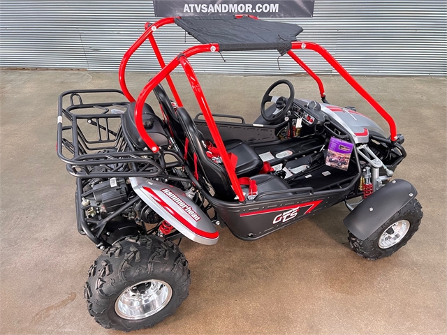 2022 Hammerhead GTS150-PLATINUM-SR at ATVs and More