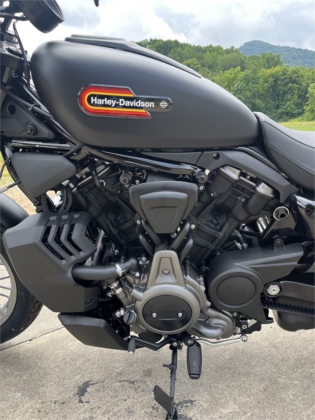 2024 Harley-Davidson Sportster Nightster Special at Harley-Davidson of Asheville