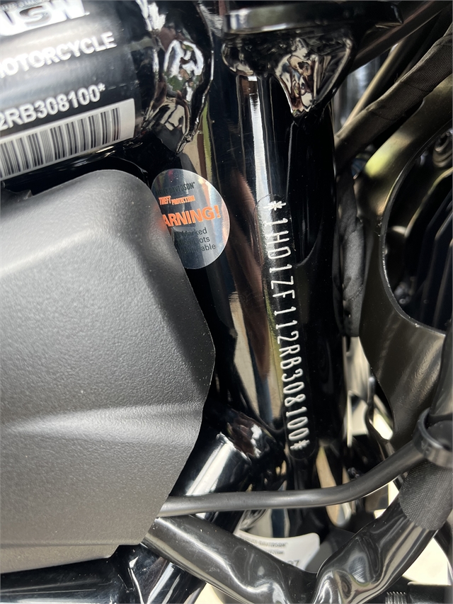 2024 Harley-Davidson Sportster Nightster Special at Harley-Davidson of Asheville