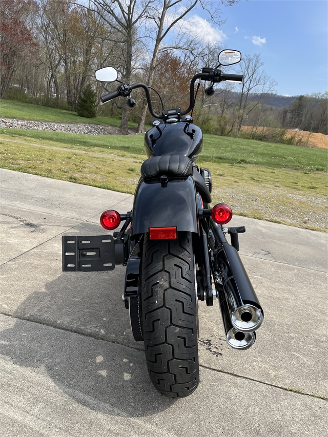 2024 Harley-Davidson Softail Street Bob 114 at Harley-Davidson of Asheville