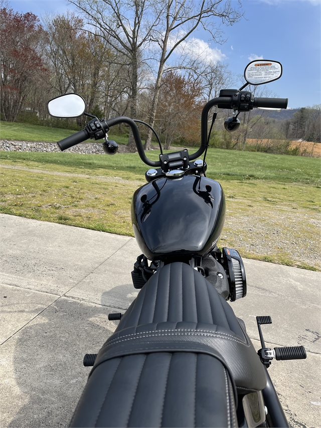 2024 Harley-Davidson Softail Street Bob 114 at Harley-Davidson of Asheville