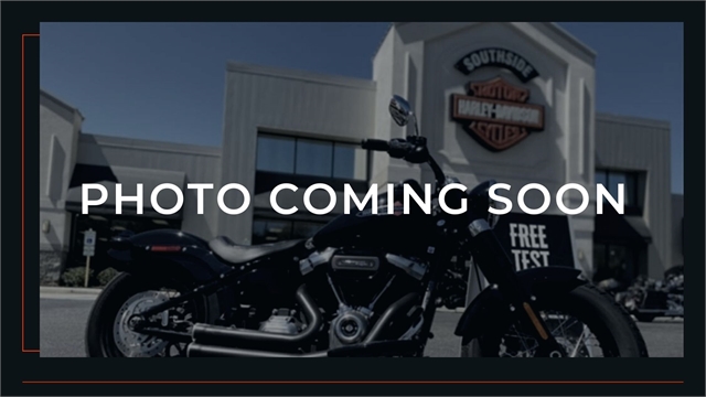 2021 Harley-Davidson Adventure Touring Pan America 1250 at Southside Harley-Davidson