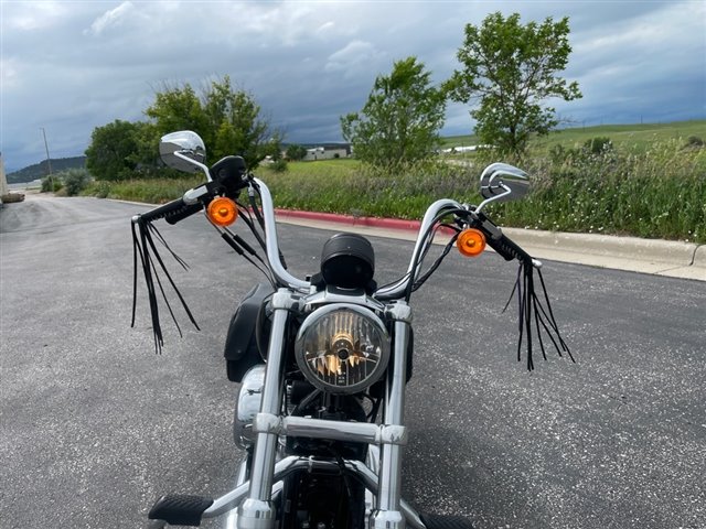 2013 Harley-Davidson Sportster SuperLow at Mount Rushmore Motorsports