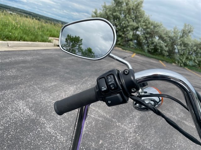 2013 Harley-Davidson Sportster SuperLow at Mount Rushmore Motorsports