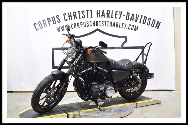 2021 Harley-Davidson Cruiser XL 883N Iron 883 at Corpus Christi Harley Davidson