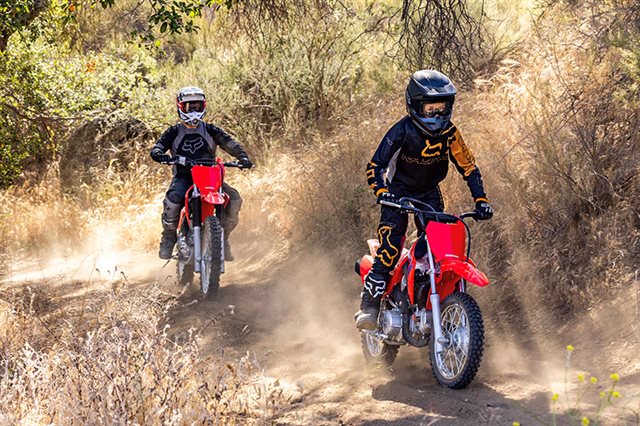 2025 Honda CRF 110F at Ehlerding Motorsports