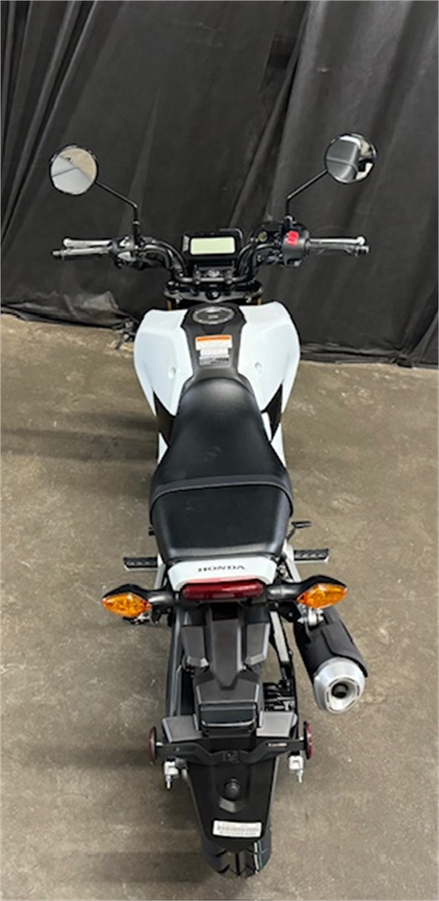 2025 Honda Grom ABS at Powersports St. Augustine