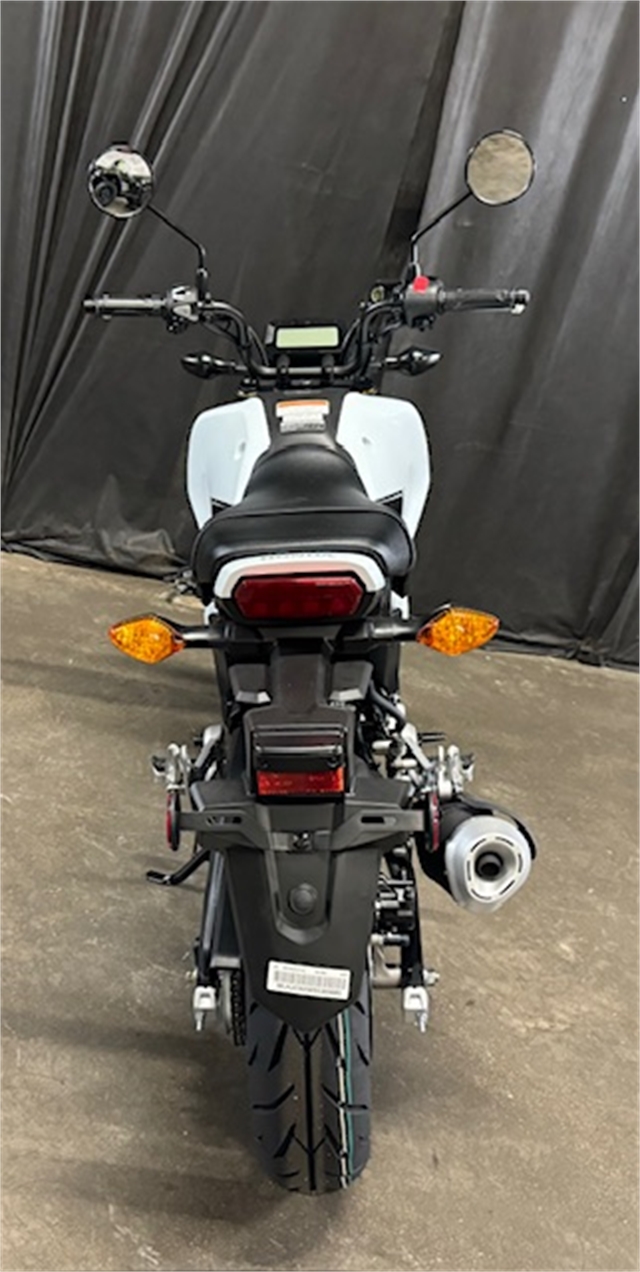 2025 Honda Grom ABS at Powersports St. Augustine