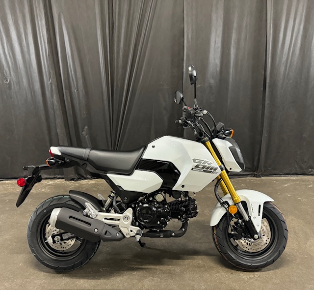 2025 Honda Grom ABS at Powersports St. Augustine