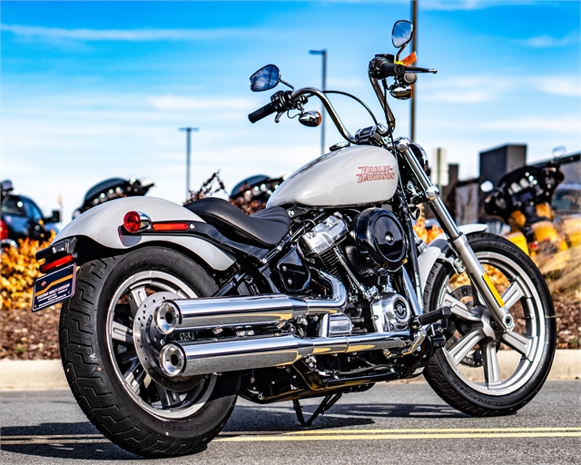 2024 Harley-Davidson Softail Standard at Speedway Harley-Davidson