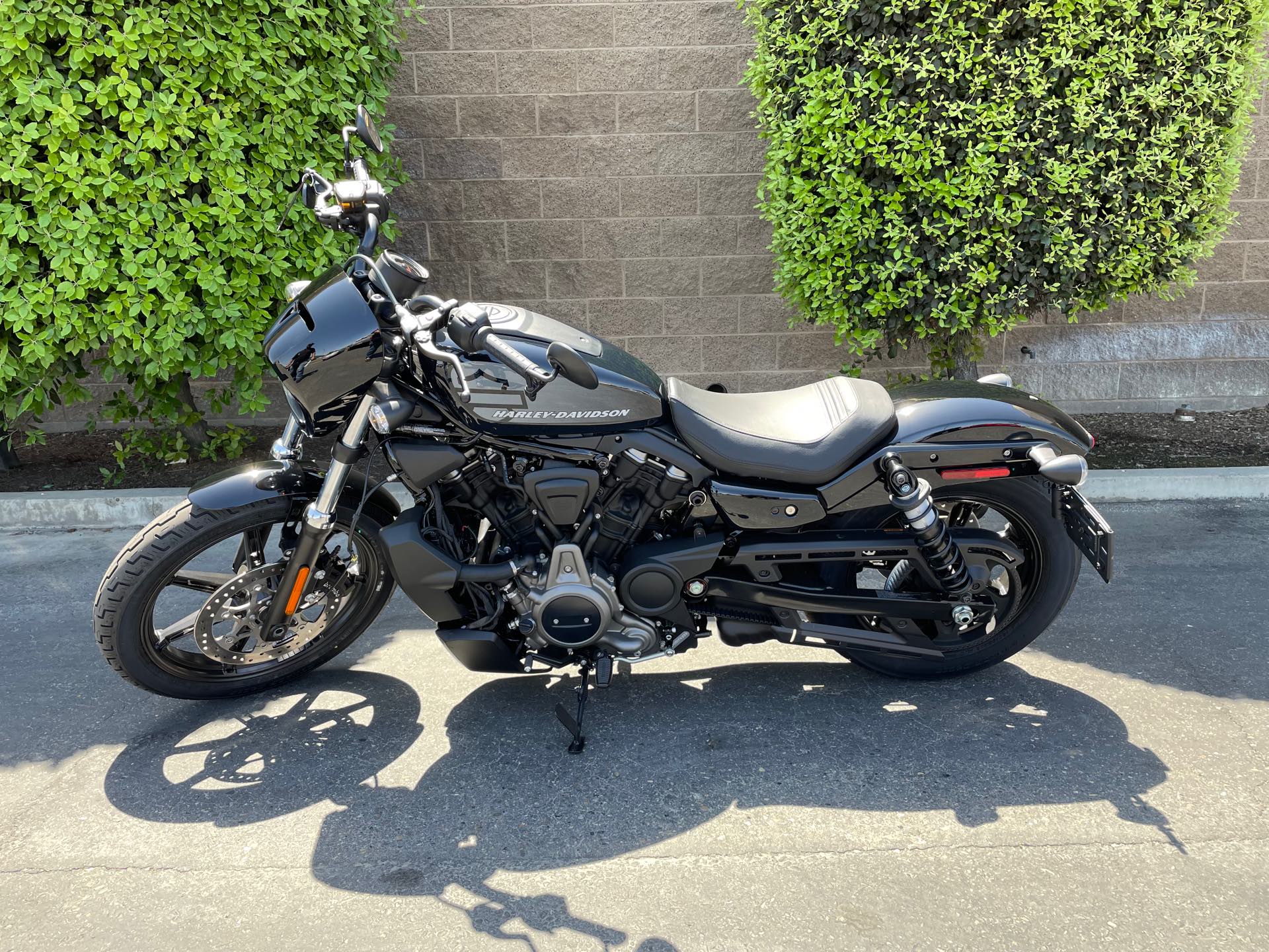 2022 Harley-Davidson Sportster Nightster at Fresno Harley-Davidson