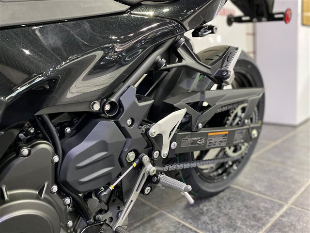 2024 Kawasaki Ninja 500 ABS at Cycle Max