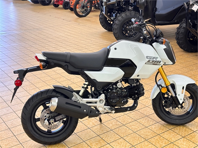 2025 Honda Grom Base at Southern Illinois Motorsports