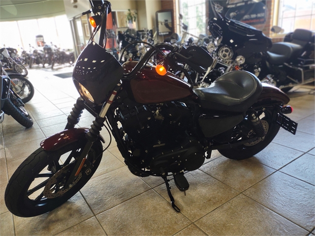 2019 Harley-Davidson XL1200NS at M & S Harley-Davidson