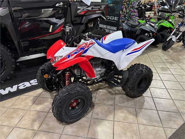 2025 Honda TRX 250X at Dale's Fun Center, Victoria, TX 77904