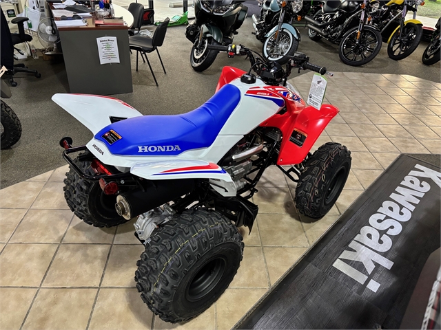 2025 Honda TRX 250X at Dale's Fun Center, Victoria, TX 77904