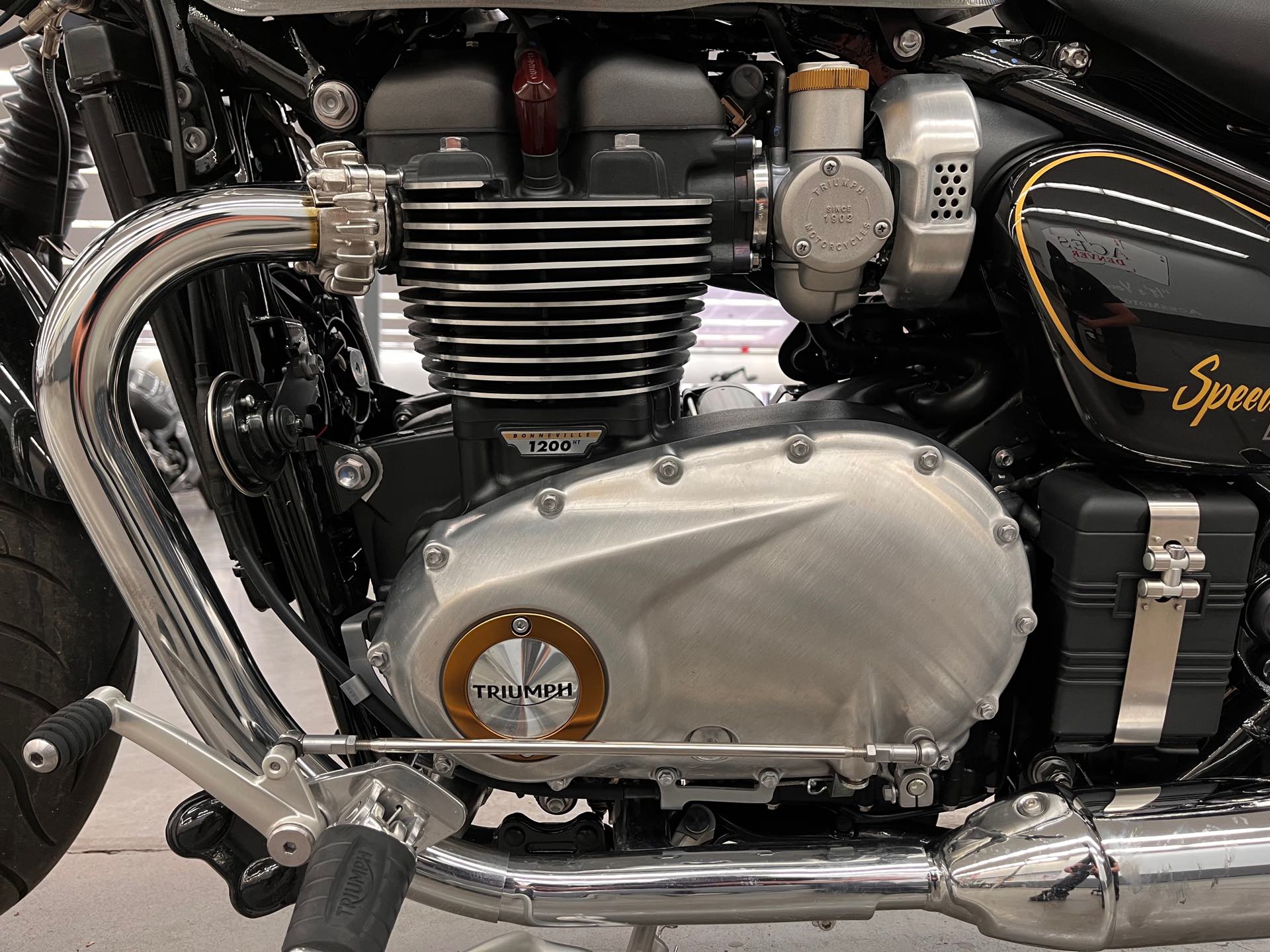 2022 Triumph Bonneville Speedmaster Gold Line at Aces Motorcycles - Denver