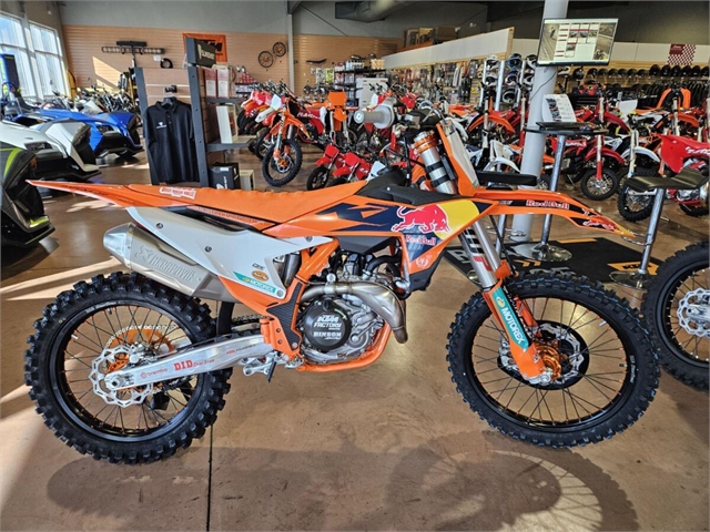 2024 KTM SX 450 F at Indian Motorcycle of Northern Kentucky