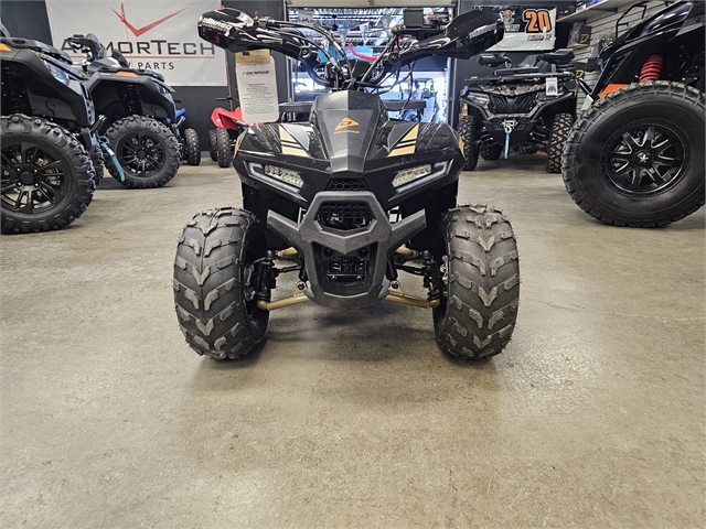 2024 Denago Mudhawk 6 110cc FI at Matt's ATV & Offroad