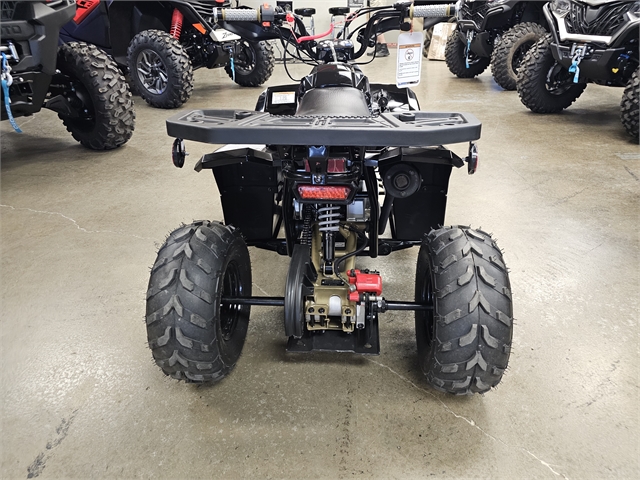 2024 Denago Mudhawk 6 110cc FI at Matt's ATV & Offroad