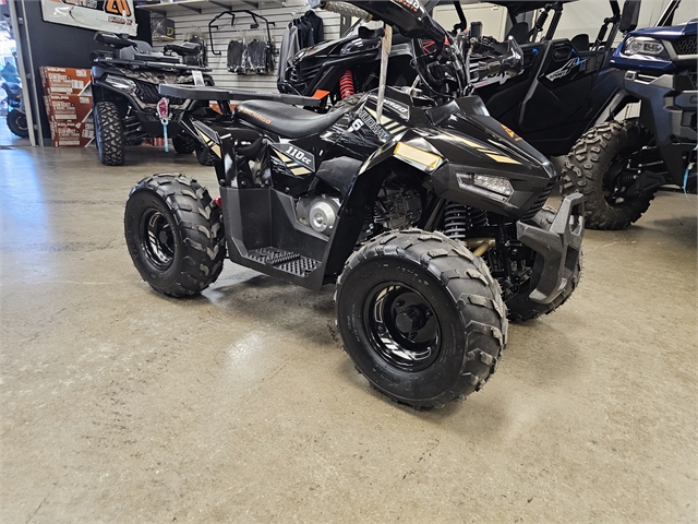 2024 Denago Mudhawk 6 110cc FI at Matt's ATV & Offroad