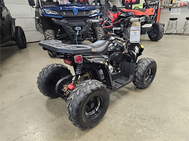 2024 Denago Mudhawk 6 110cc FI at Matt's ATV & Offroad