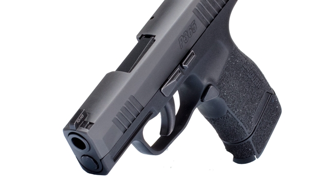 2021 Sig Sauer P365 at Harsh Outdoors, Eaton, CO 80615