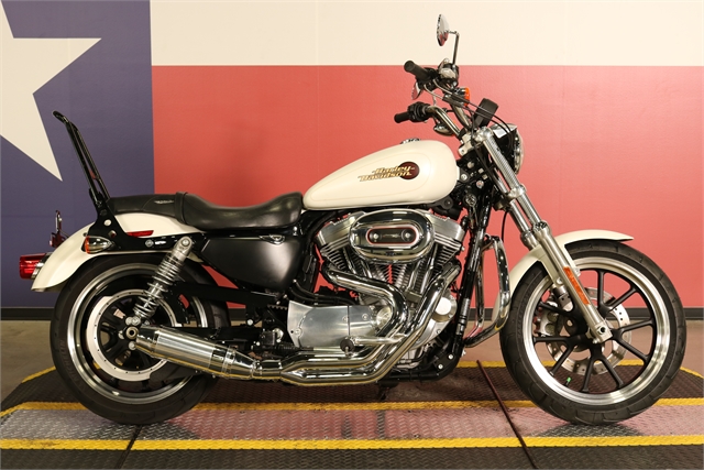 2019 Harley-Davidson Sportster SuperLow at Texas Harley