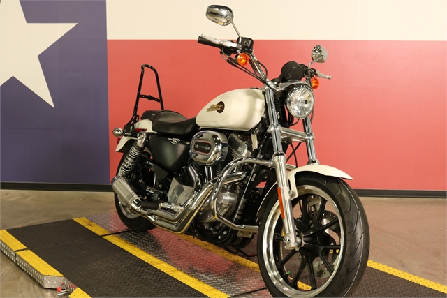 2019 Harley-Davidson Sportster SuperLow at Texas Harley