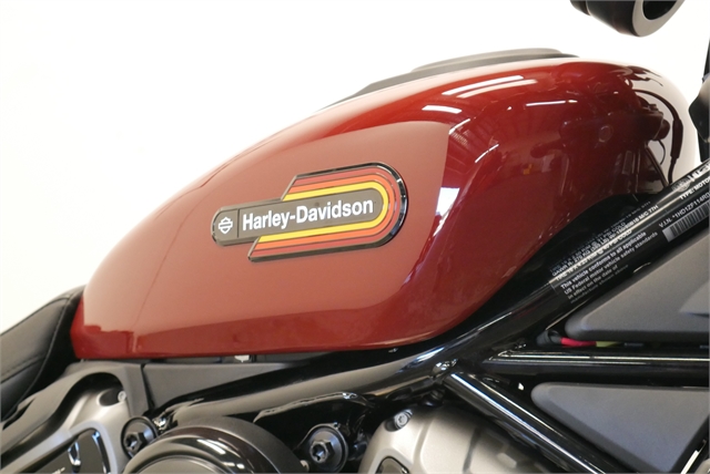 2024 Harley-Davidson Sportster Nightster Special at Texoma Harley-Davidson