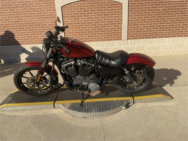 2019 Harley-Davidson Sportster Iron 883 at Roughneck Harley-Davidson