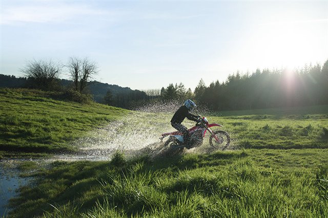 2019 Honda CRF 450L at Ehlerding Motorsports