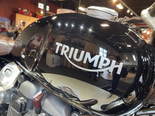 2019 Triumph Speed Twin Base at Martin Moto