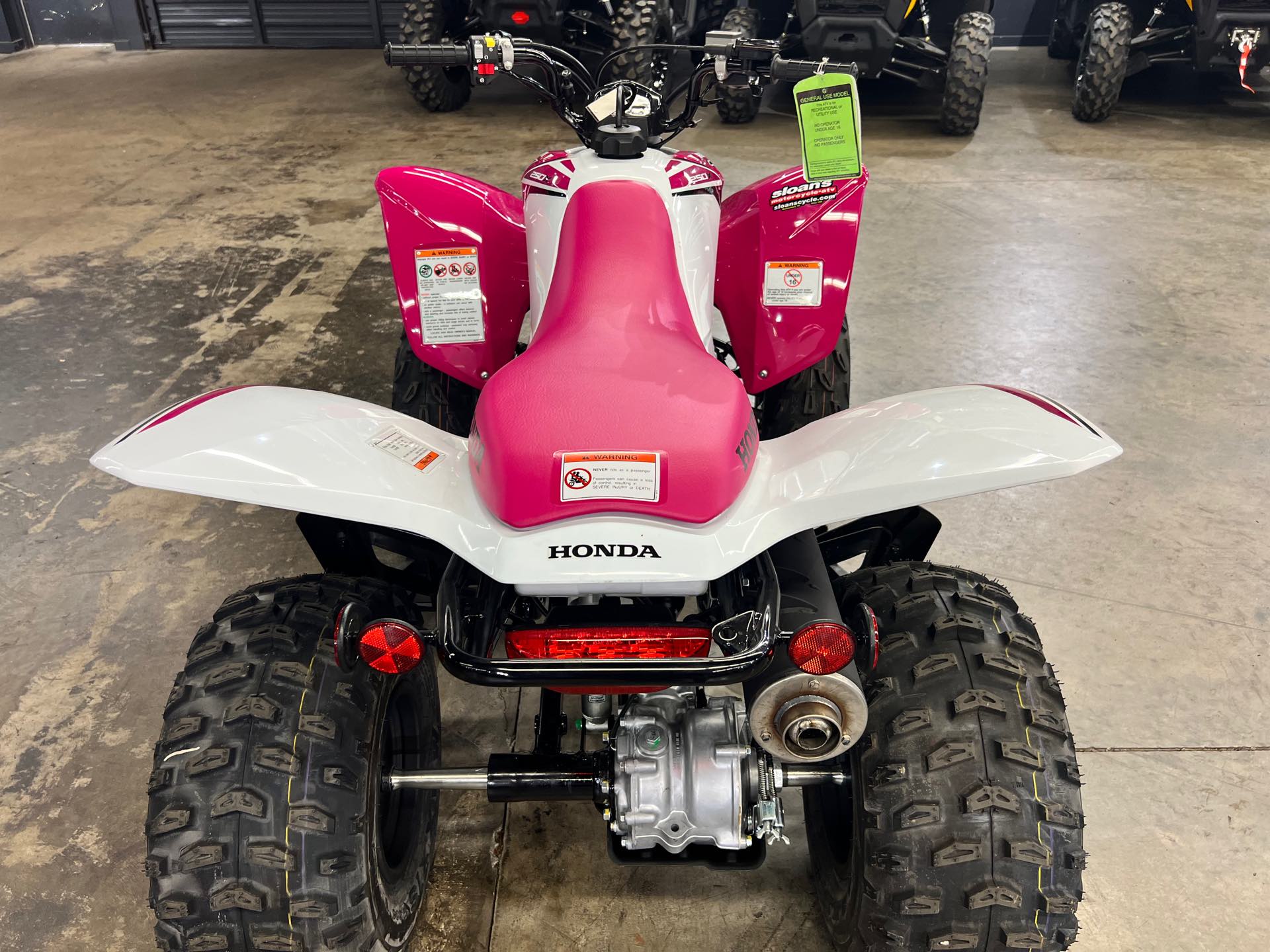 2023 Honda TRX 250X at Sloans Motorcycle ATV, Murfreesboro, TN, 37129