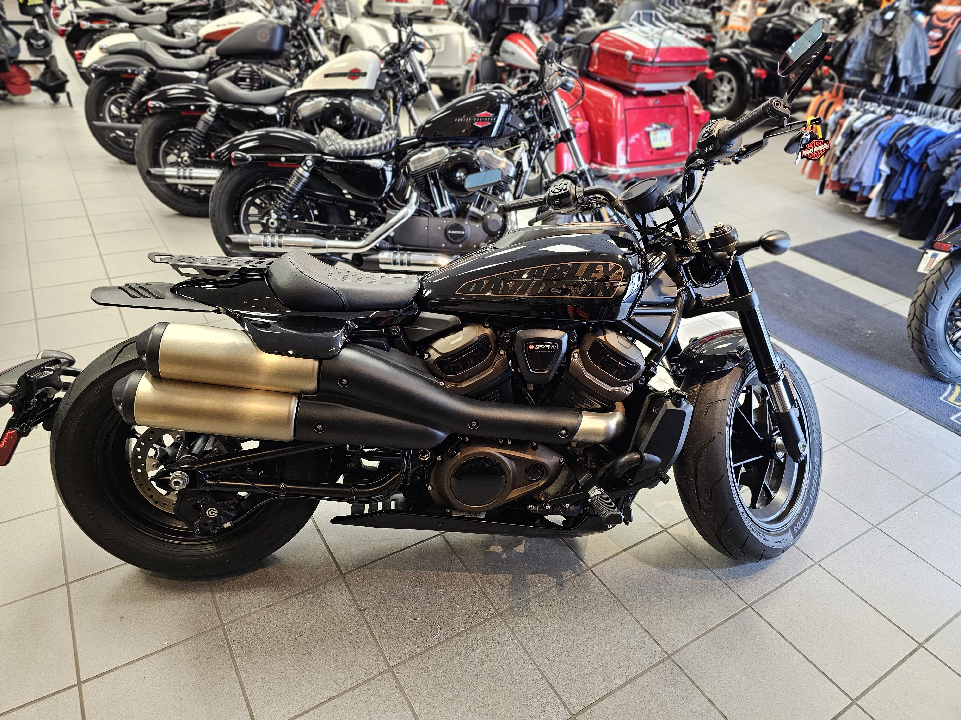 2021 Harley-Davidson Sportster at Rooster's Harley Davidson