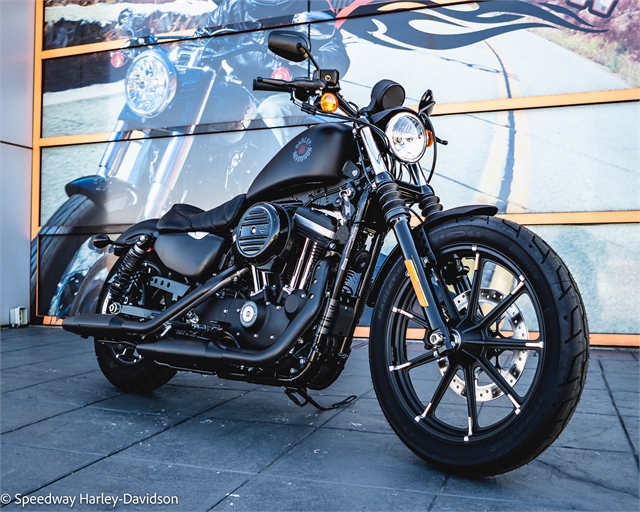 2022 Harley-Davidson Sportster Iron 883 at Speedway Harley-Davidson