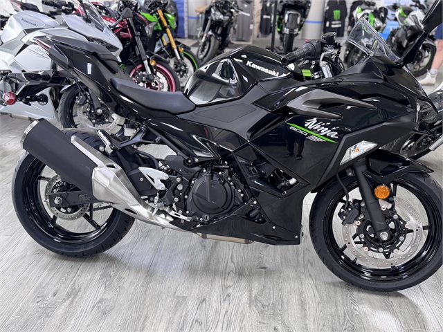 2024 Kawasaki Ninja 500 Base at Jacksonville Powersports, Jacksonville, FL 32225